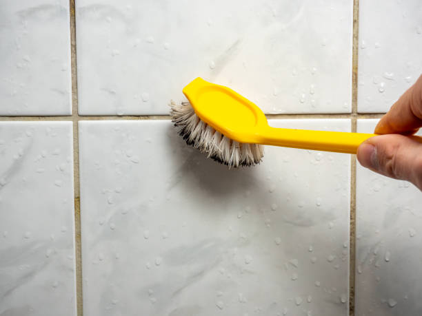 Best Mold Remediation  in Castle Dale, UT