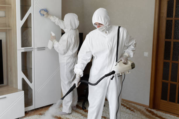 Best Professional Mold Removal  in Castle Dale, UT