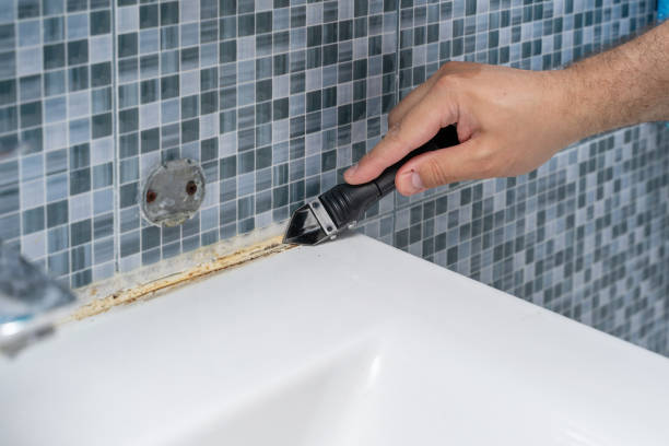 Best Commercial Mold Removal  in Castle Dale, UT
